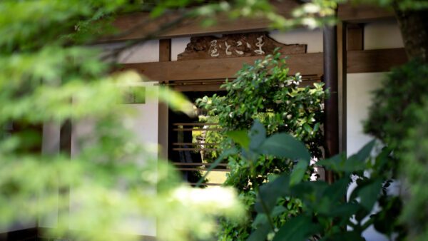 6月3日、4日は研修のため貸し切りとなります