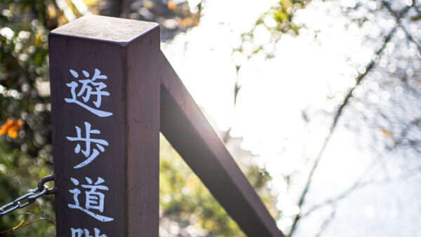 通行止めのお知らせ：御岳渓谷遊歩道【沢井遊歩道入口～軍畑遊歩道入口】12月11日-23日